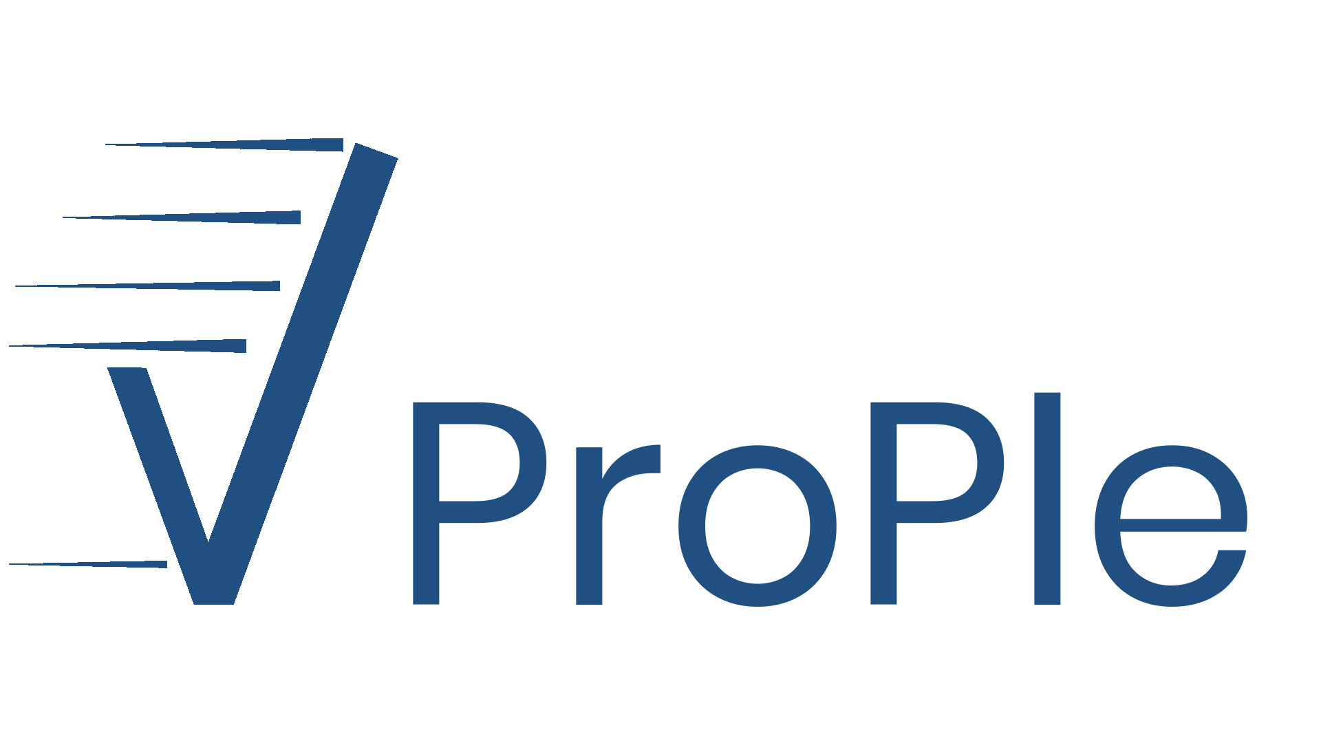 vprople-logo.png